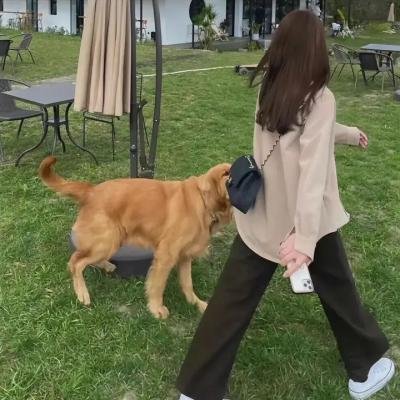 偷心女巫