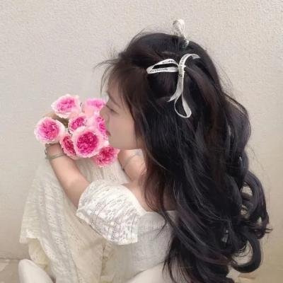 精灵高中:鬼魂高中